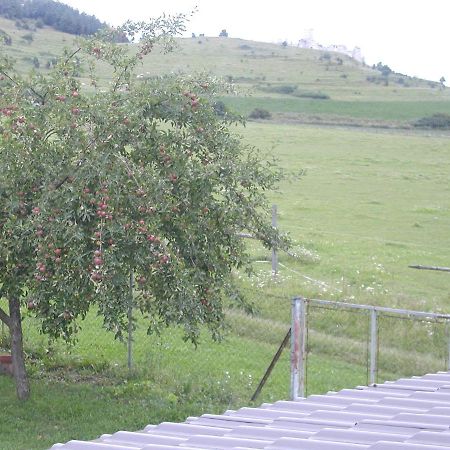 Hotel Penzion Dreveník Spišské Podhradie Exteriér fotografie