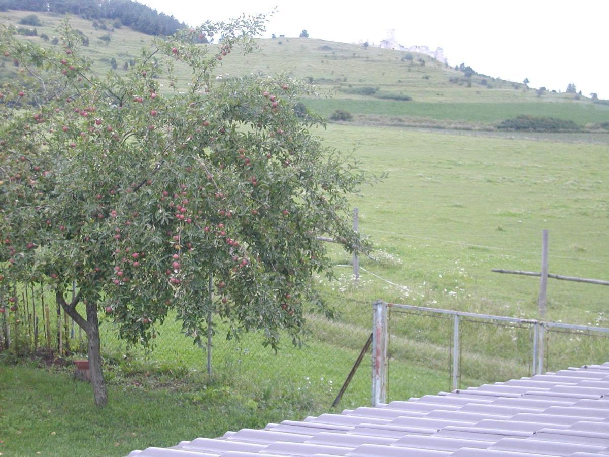 Hotel Penzion Dreveník Spišské Podhradie Exteriér fotografie