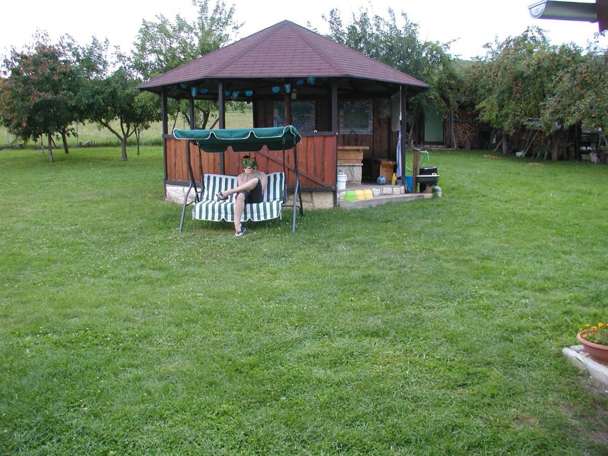 Hotel Penzion Dreveník Spišské Podhradie Exteriér fotografie