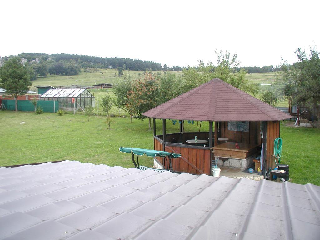 Hotel Penzion Dreveník Spišské Podhradie Exteriér fotografie