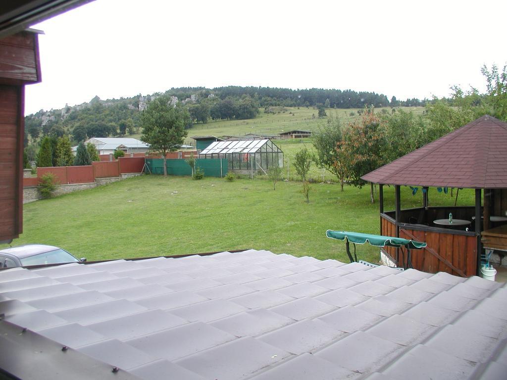 Hotel Penzion Dreveník Spišské Podhradie Exteriér fotografie