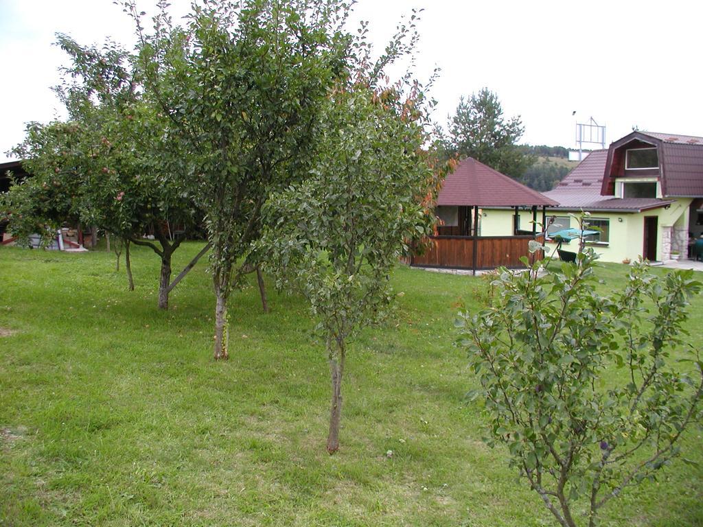 Hotel Penzion Dreveník Spišské Podhradie Exteriér fotografie